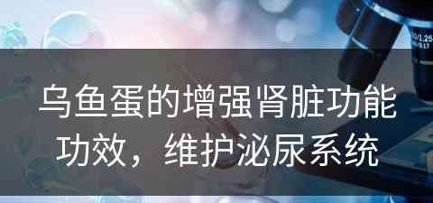乌鱼蛋的增强肾脏功能功效，维护泌尿系统